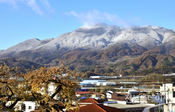 초겨울 날씨를 보인 12일 전북 장수군 팔공산 정상 부근에 전날 내린 눈이 쌓여 중턱의 단풍과 대비를 이루고 있다.(장수군 제공)