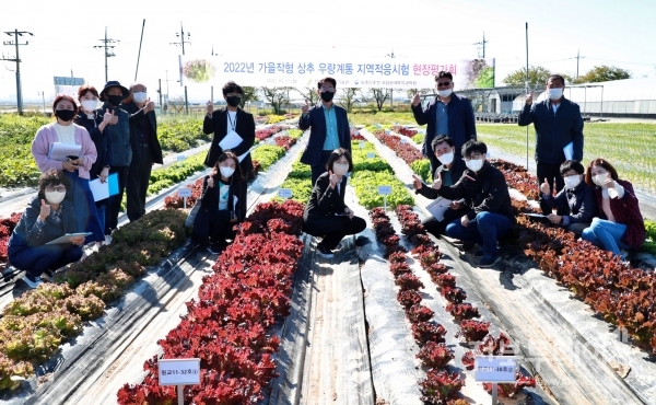 전라북도농업기술원(원장 박동구)은 17일 전북농업기술원 시험포장에서 고품질 다수성 가을 상추 계통의 전북지역 적응성을 검토하기 위한 평가회를 개최했다.