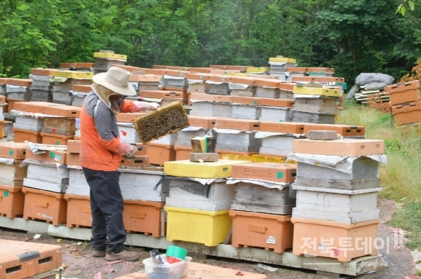 15일 순창 농업기술센터 다목적 강당에서 관내 양봉농가 60명을 대상으로 꿀벌 병해충 관리 예방교육이 실시됐다.