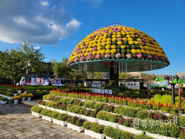 진안홍삼축제 주무대장을 화려한 가을꽃 조경으로 가득 채우고 있다.